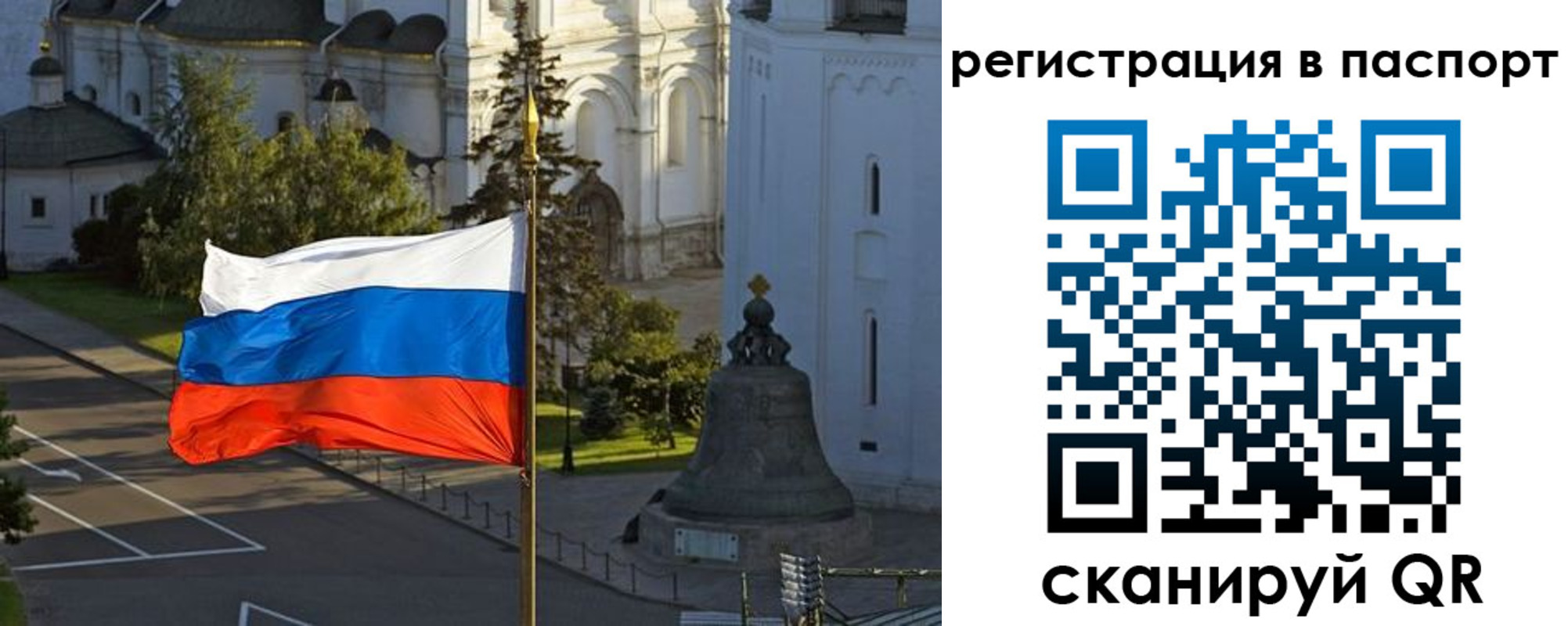 где прописаться в Ртищево